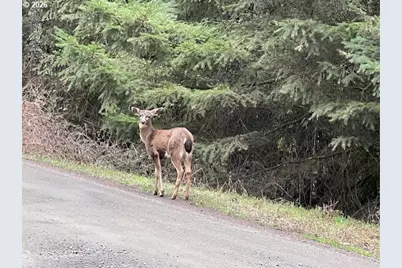 Deer Ct, Banks, OR 97106 - Photo 10
