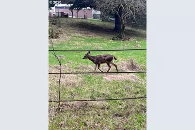 Deer Ct, Banks, OR 97106 - Photo 12