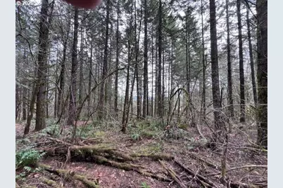 Deer Ct, Banks, OR 97106 - Photo 20