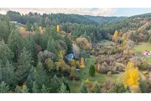 45245 SW Saddleback Dr, Gaston, OR 97119 - Photo 46