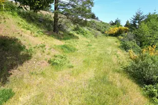 6877 Pacific Terrace Dr, Brookings, OR 97415 - Photo 1