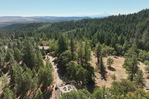 73 Long Rd, Wahkiacus, WA 98670 - Photo 42