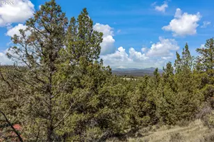 6792 SE Juniper Canyon Rd, Prineville, OR 97754 - Photo 28
