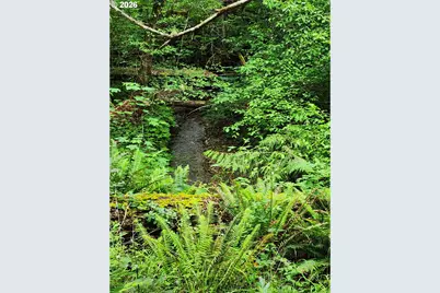 0 Louis Creek Rd, Myrtle Creek, OR 97457 - Photo 1