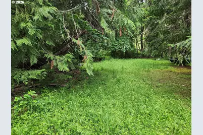 0 Louis Creek Rd, Myrtle Creek, OR 97457 - Photo 14
