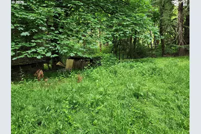 0 Louis Creek Rd, Myrtle Creek, OR 97457 - Photo 16