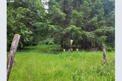 0 Louis Creek Rd, Myrtle Creek, OR 97457 - Photo 4
