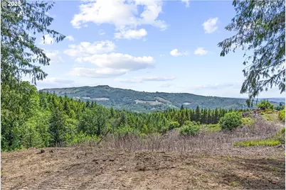 1899 Mount Pleasant Rd, Kelso, WA 98626 - Photo 1