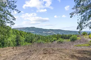 1899 Mt Pleasant Rd, Kelso, WA 98626 - Photo 1