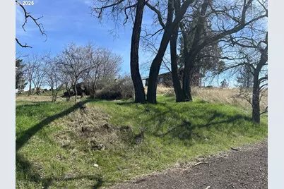 Wamic Market Rd, Tygh Valley, OR 97063 - Photo 6