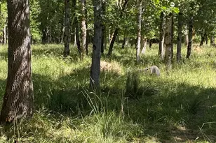 135 Champagne Dr, Roseburg, OR 97471 - Photo 36