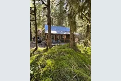 Cabin 61 Northwoods, Cougar, WA 98616 - Photo 2