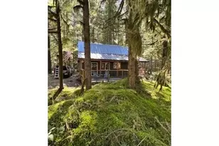 Cabin 61 Northwoods, Cougar, WA 98616 - Photo 2