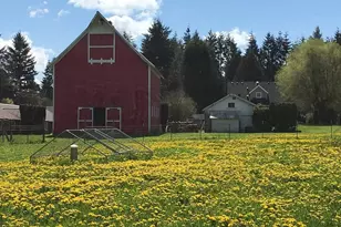 12718 NE 159th St, Brush Prairie, WA 98606 - Photo 6