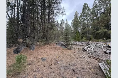 0 Whiskey Creek Rd, Beatty, OR 97621 - Photo 42