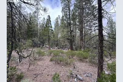 0 Whiskey Creek Rd, Beatty, OR 97621 - Photo 34