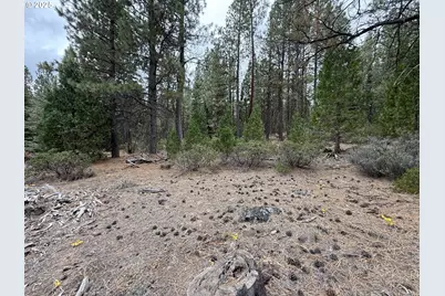 0 Whiskey Creek Rd, Beatty, OR 97621 - Photo 24