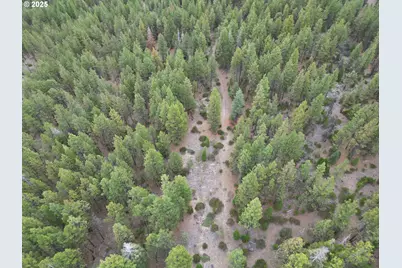 0 Whiskey Creek Rd, Beatty, OR 97621 - Photo 12