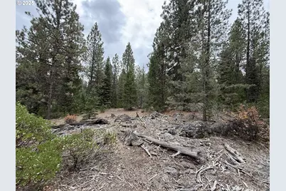 0 Whiskey Creek Rd, Beatty, OR 97621 - Photo 46