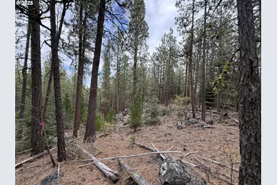 0 Whiskey Creek Rd, Beatty, OR 97621 - Photo 36
