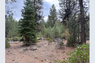 0 Whiskey Creek Rd, Beatty, OR 97621 - Photo 2