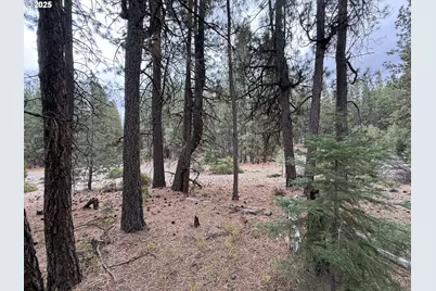 0 Whiskey Creek Rd, Beatty, OR 97621 - Photo 40