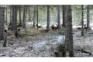 60839 Liberty Rd, Joseph, OR 97846 - Photo 16