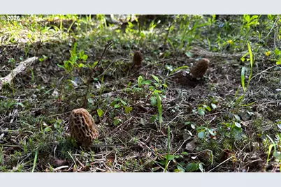 60839 Liberty Rd, Joseph, OR 97846 - Photo 26