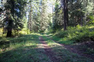 84745 Beske Ln, Joseph, OR 97846 - Photo 2