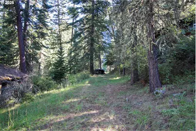 84745 Beske Ln, Joseph, OR 97846 - Photo 30