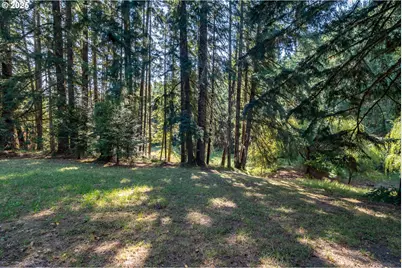 5339 Hardscrabble Rd, Drain, OR 97435 - Photo 46