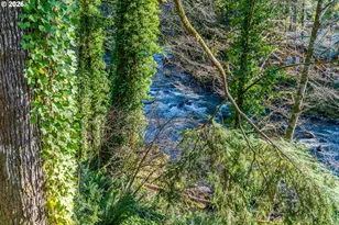 62194 E Salmon St, Brightwood, OR 97011 - Photo 12