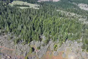 101 Cooke Rd, White Salmon, WA 98672 - Photo 24