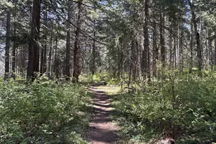 101 Cooke Rd, White Salmon, WA 98672 - Photo 34