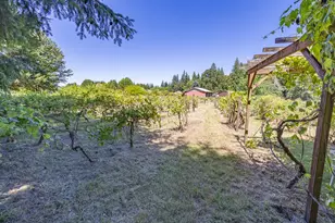 18702 NE 85th Ave, Battle Ground, WA 98604 - Photo 10