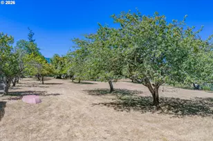 94714 Conklin Meadow Ln, Broadbent, OR 97414 - Photo 44