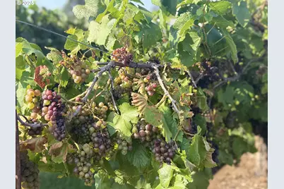 18064 SW Alvord Ln, Beaverton, OR 97007 - Photo 20