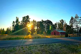 38717 Dexter Rd, Dexter, OR 97431 - Photo 34