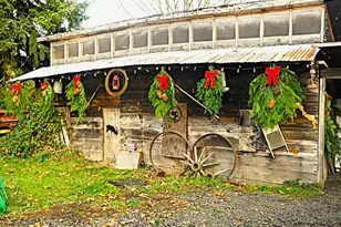 38717 Dexter Rd, Dexter, OR 97431 - Photo 26