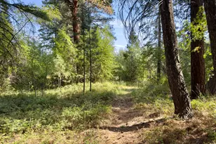 26272 Pine Creek Rd, John Day, OR 97845 - Photo 44