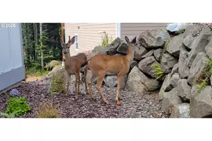 4145 SE Inlet Ave, Lincoln City, OR 97367 - Photo 38