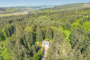 43288 Rodgers Mountain Loop, Scio, OR 97374 - Photo 2