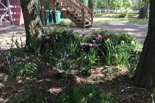 8918 SW Grabhorn Rd, Beaverton, OR 97007 - Photo 44