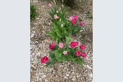 8918 SW Grabhorn Rd, Beaverton, OR 97007 - Photo 42