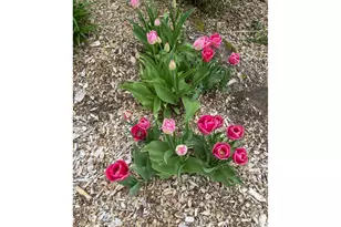 8918 SW Grabhorn Rd, Beaverton, OR 97007 - Photo 42