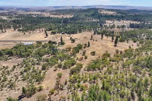 56 Meacham Rd, Goldendale, WA 98620 - Photo 4