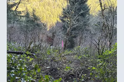 Newport Heights Dr #TL106, Newport, OR 97365 - Photo 32