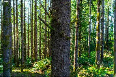 Newport Heights Dr #TL106, Newport, OR 97365 - Photo 12