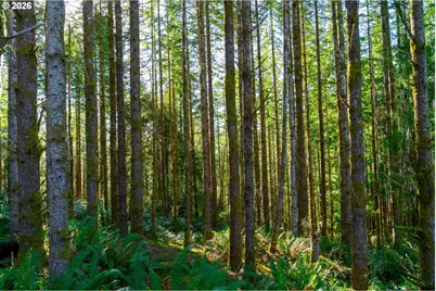 Newport Heights Dr #TL106, Newport, OR 97365 - Photo 10