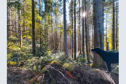 Newport Heights Dr #TL106, Newport, OR 97365 - Photo 42